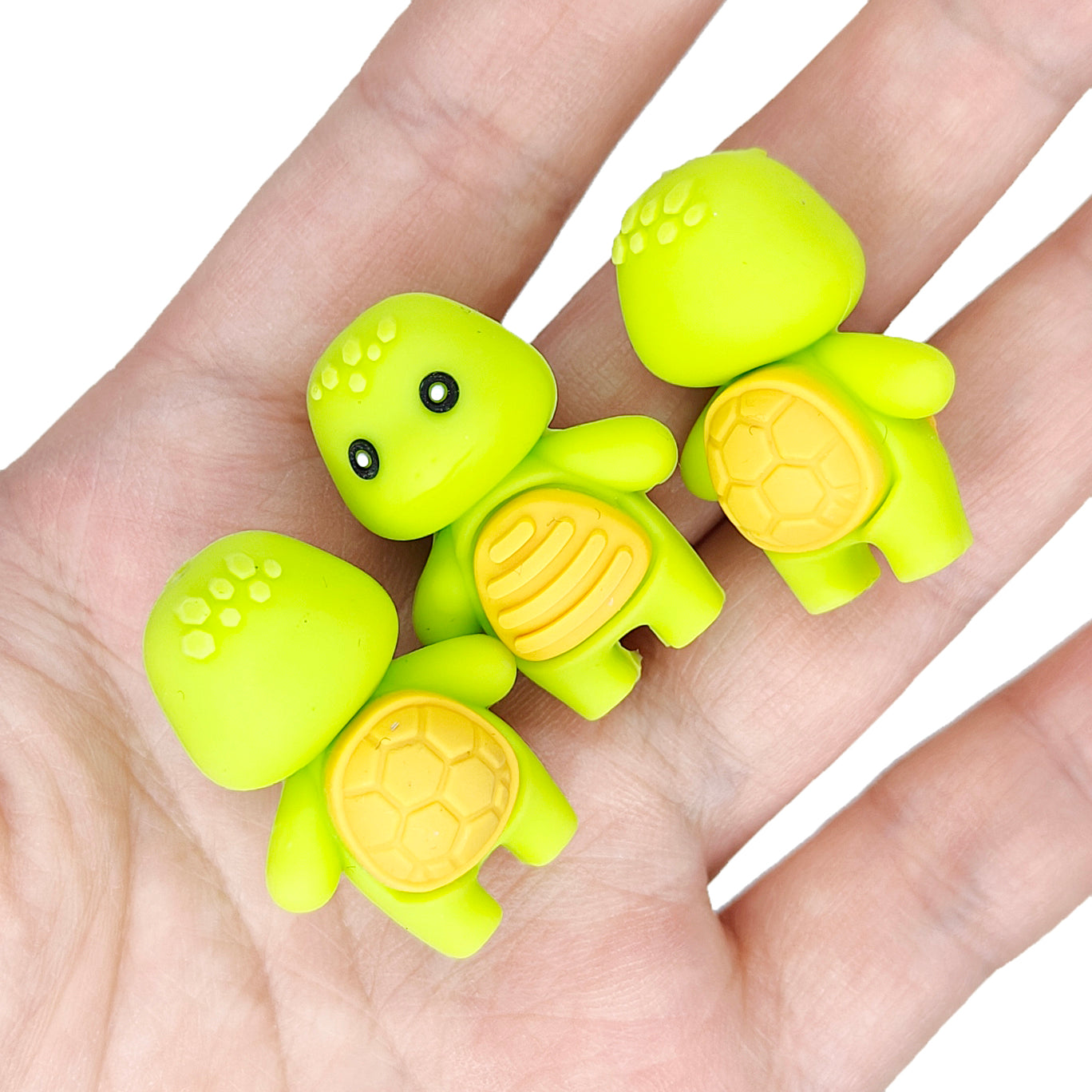 3D Turtle Focal