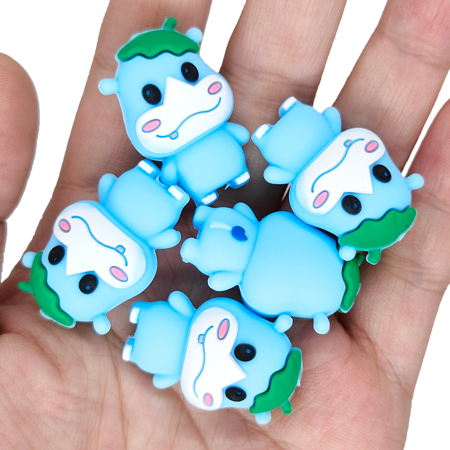 3D Hippo Focal