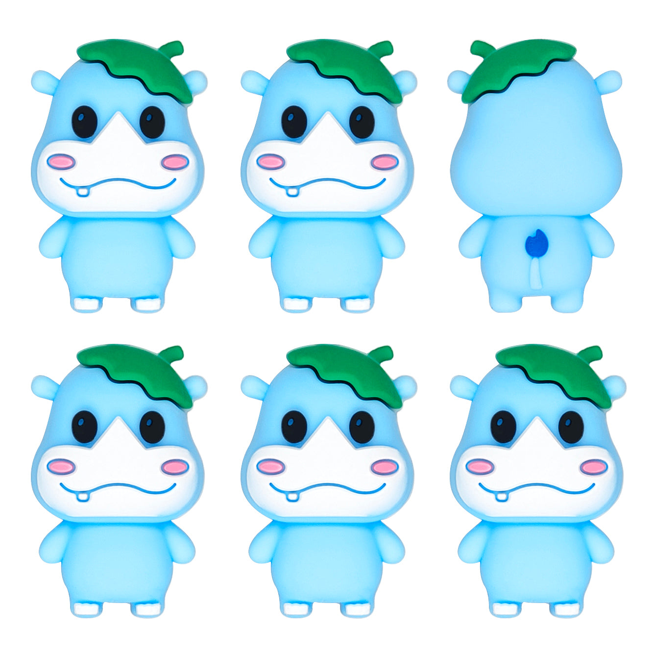 3D Hippo Focal
