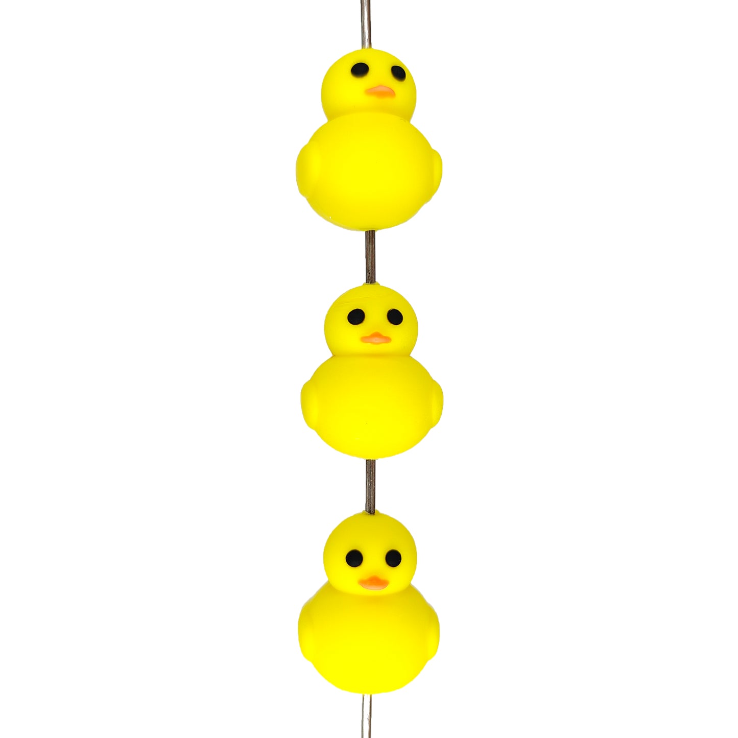 Duck Focal