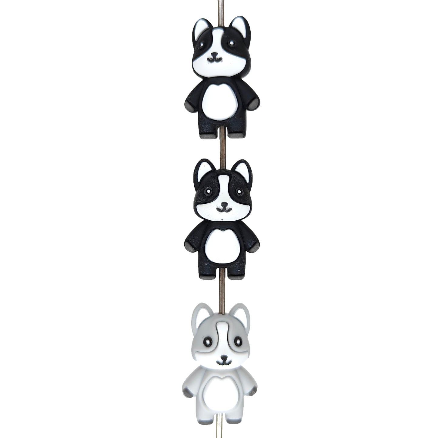 New 3D Dog Focal