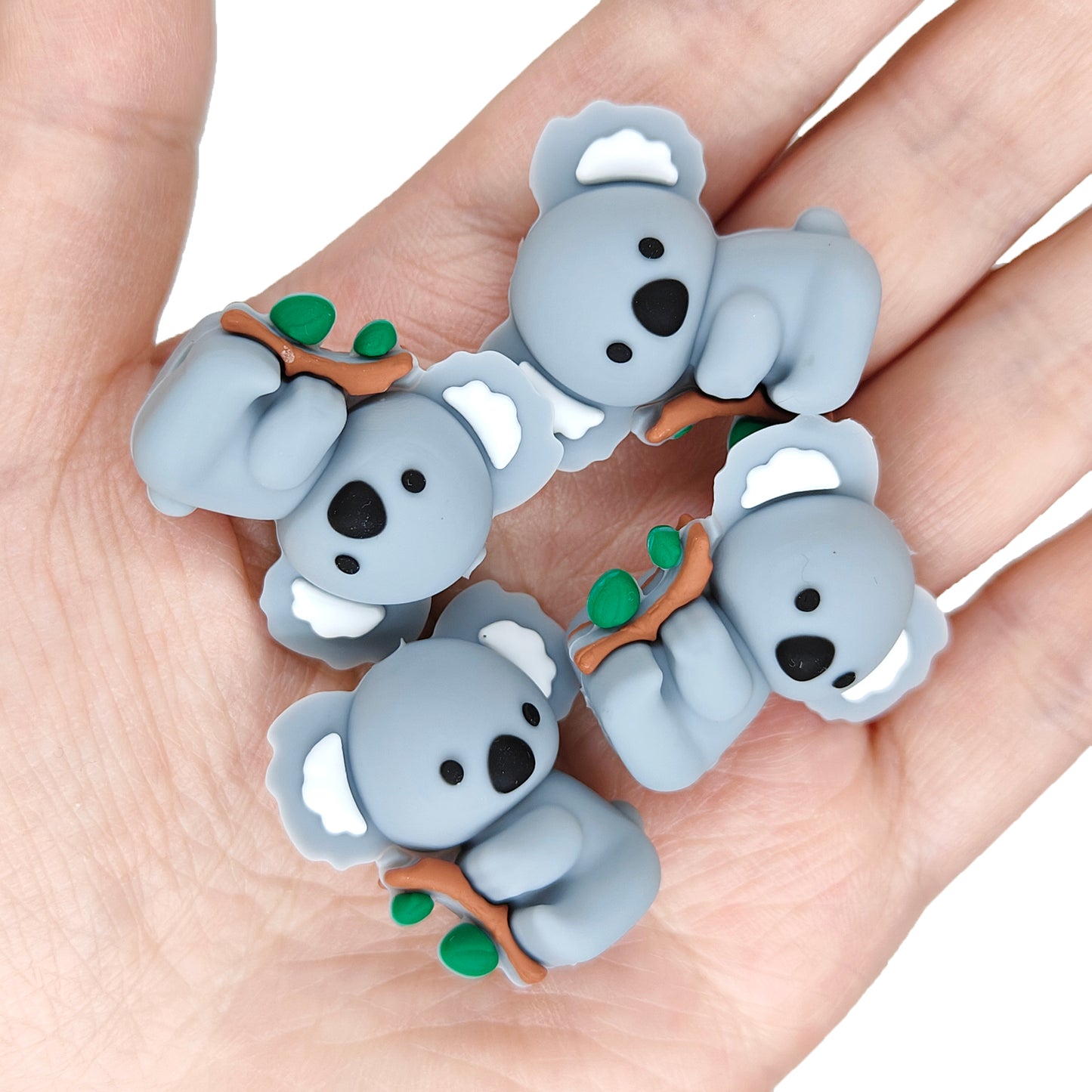 New 3D Koala Focal
