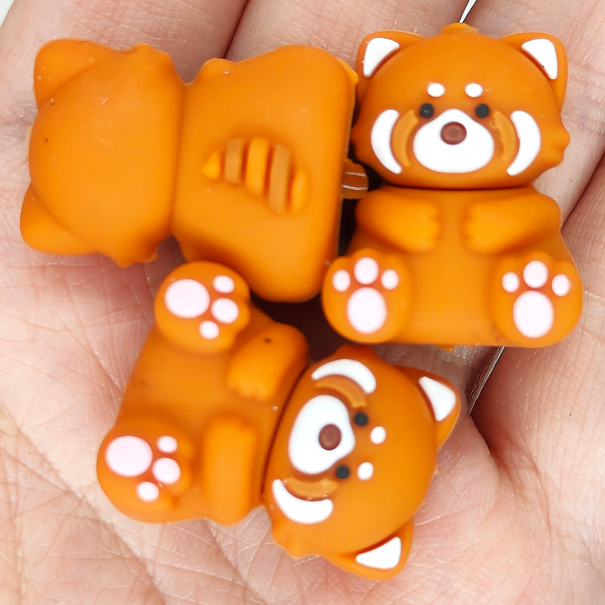 3D Raccoon Focal