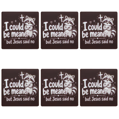 I Could Be Meaner Raccoon Jesus Square Print Focal