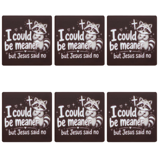 I Could Be Meaner Raccoon Jesus Square Print Focal