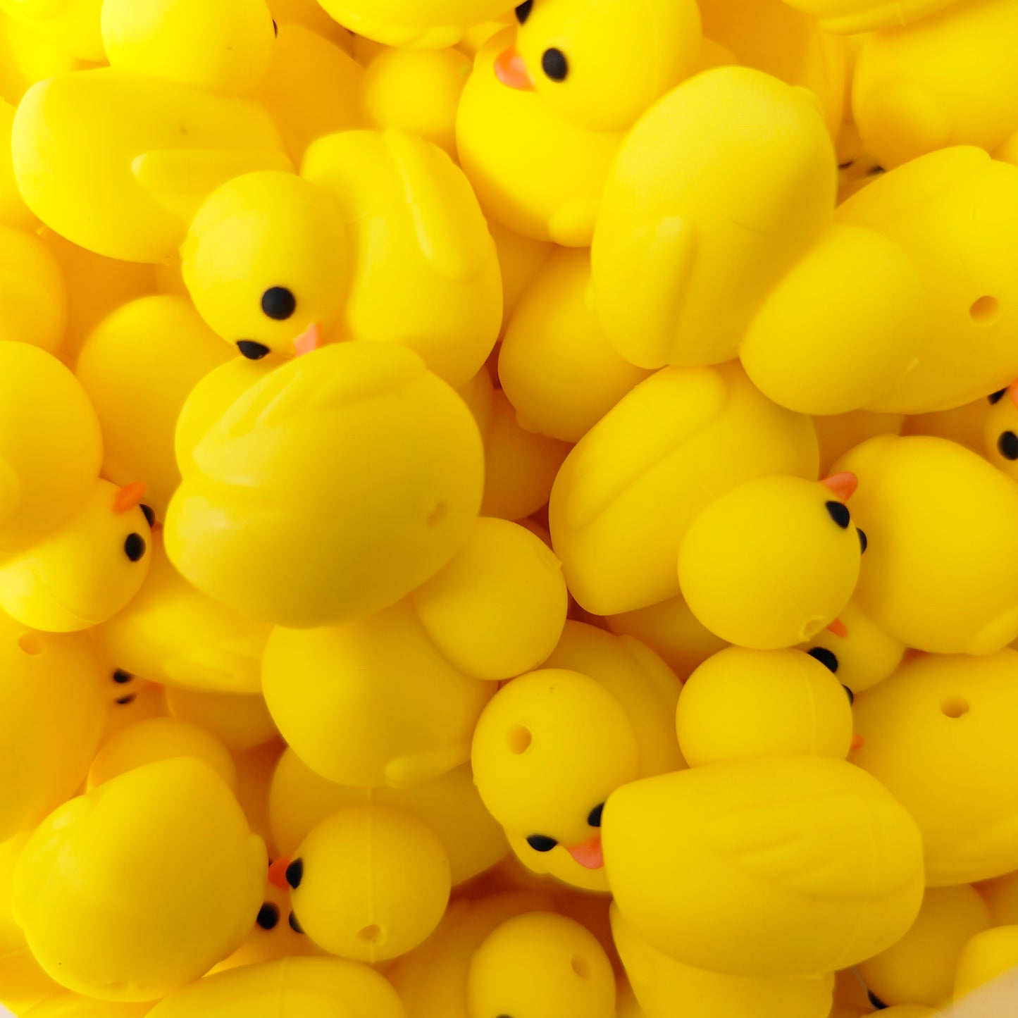 Duck Focal