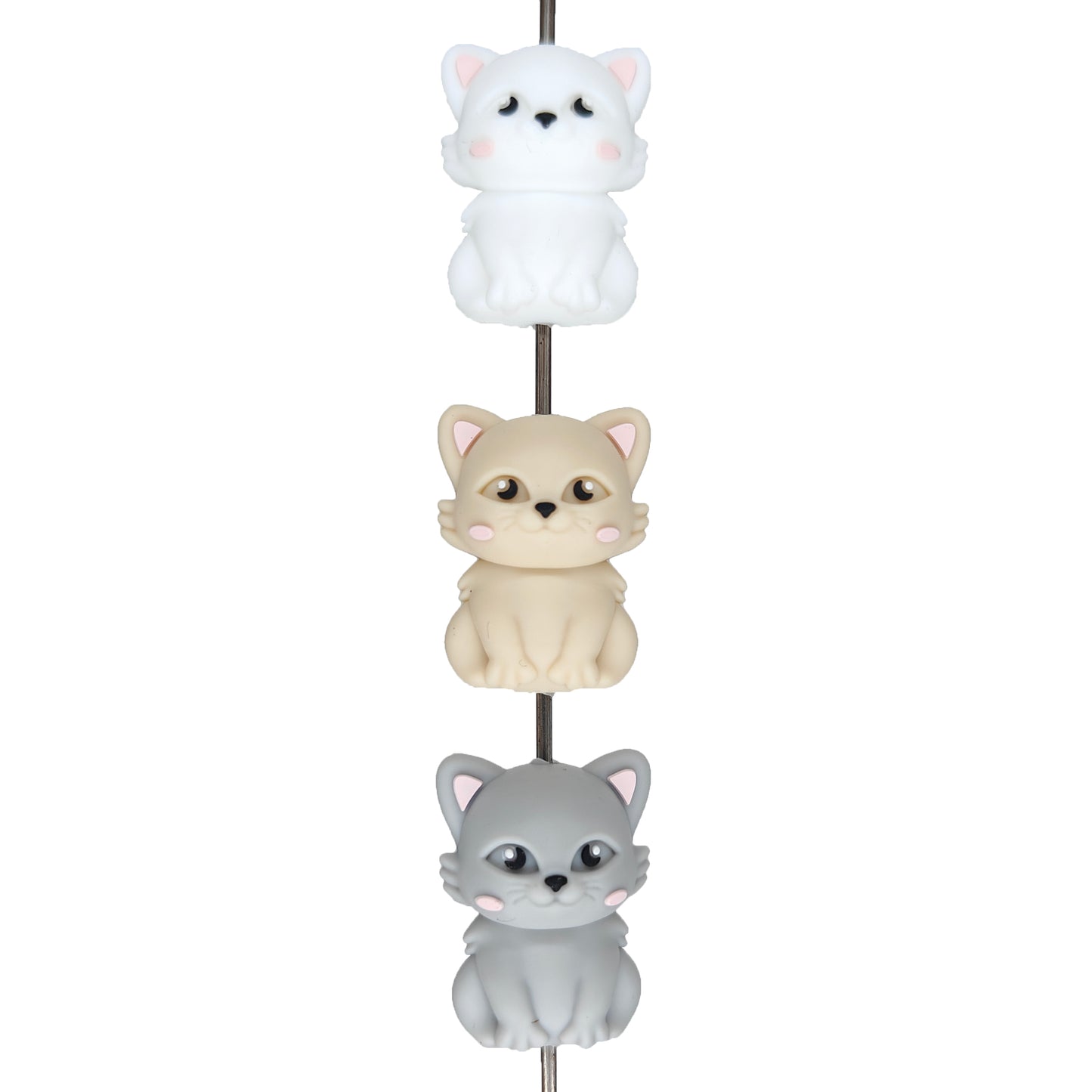 3D Cat Focal