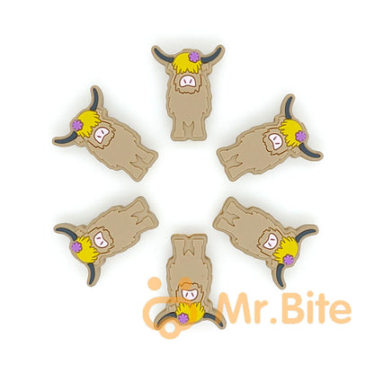 Highland Cow Focal