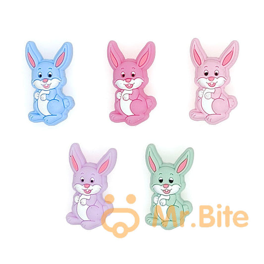 Rabbit Focal