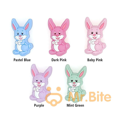 Mixed Rabbit Focal beads