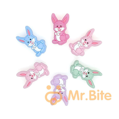 Mixed Rabbit Focal beads