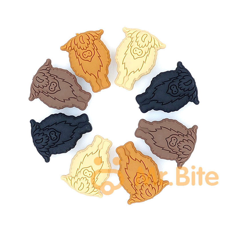 New Highland Cow Focal